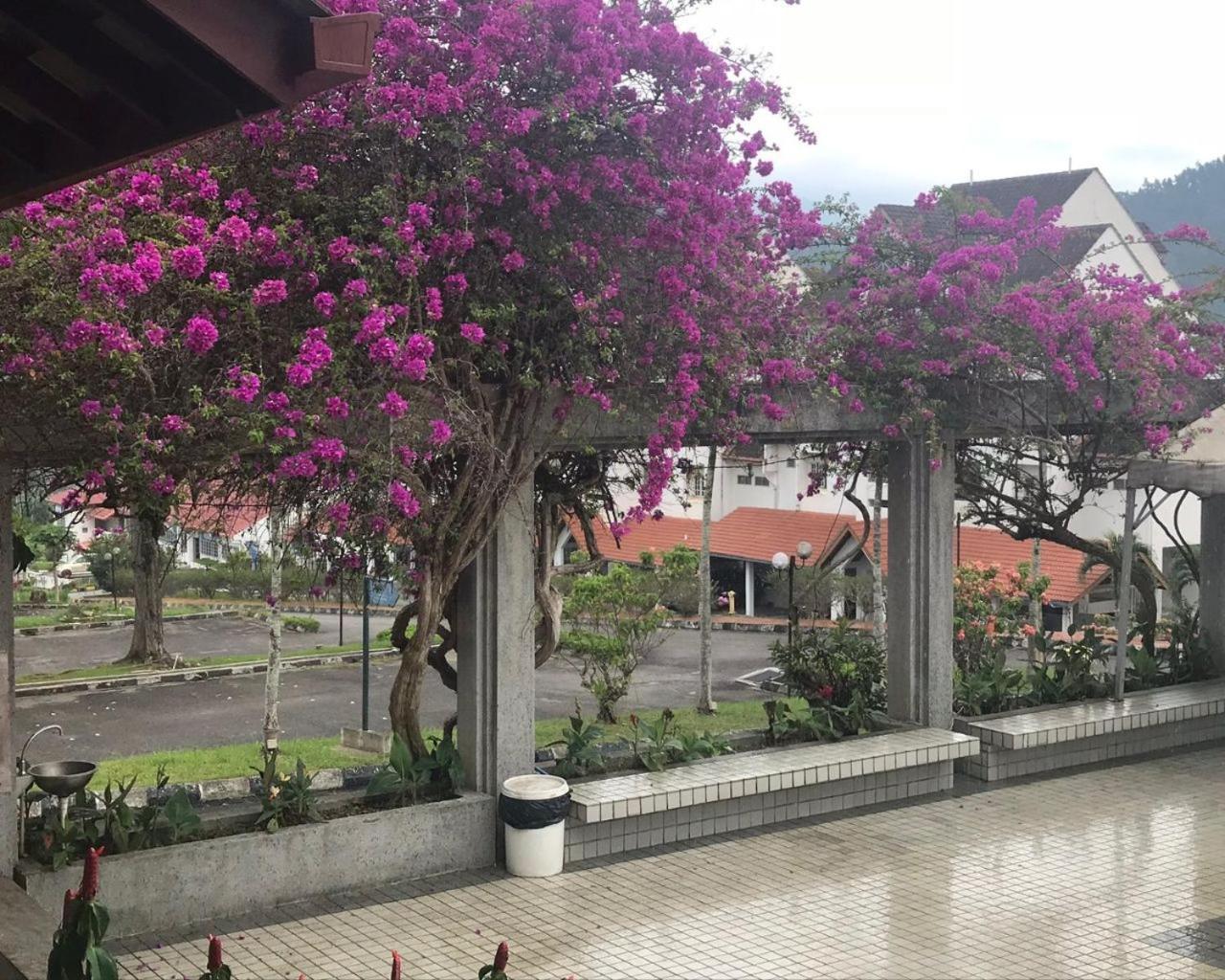 ThatNicePlace in Selesa Hillhome, Bukit Tinggi, Bentong, Genting Bagian luar foto